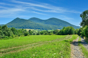 Obraz premium Summer trees and pasture in a beautiful mountain landscape. Busov – the highest peak of the Low Beskid Mountains with a height of 1002 m a.s.l., Slovakia.