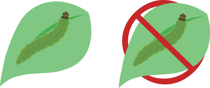 Set of Tomato Leafminer Pest Larva Vector Illustration