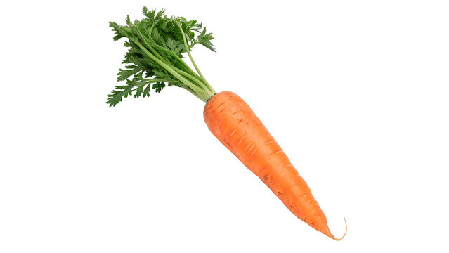 Fresh organic orange carrot with green top isolated on transparent background