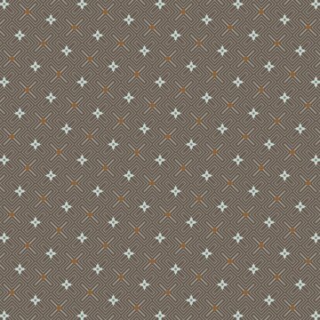 Classic Geometric Star Pattern in Dark Tones