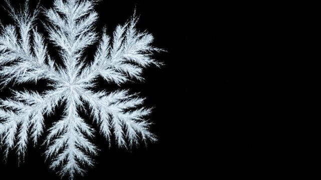 Macro time-lapse of ice crystal growth, frozen snowflake formation on black background, winter holiday motion png. ai generated