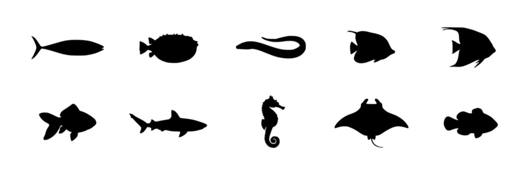 Fish Silhouettes Featuring Ten Distinct Black Shapes of Aquatic Creatures Featuring Silhouette, Marine, Ocean with Sea