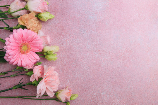 Flowers arranged on a pink background showcasing various colors and types of blooms during a bright daylight setting