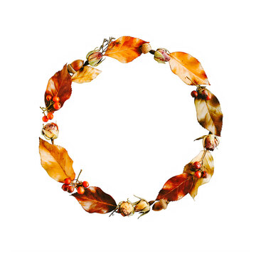 Autumn leaves and berries circular frame with natural elements on transparent background PNG