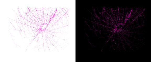 Neon pink spider web set on black and white backgrounds, glowing magenta cobweb design elements, vibrant electric spiderweb graphics for Halloween © Motion Mania