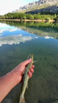 Preserving the Legacy: Returning a Magnificent fish to the Lake