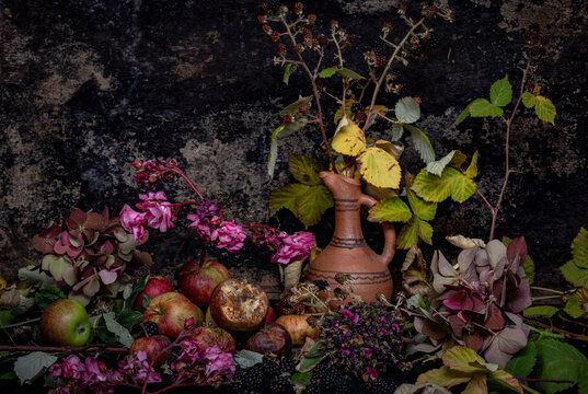 Melancholic still life with clay pitcher, apples, blackberries, and withered hydrangeas against dark background