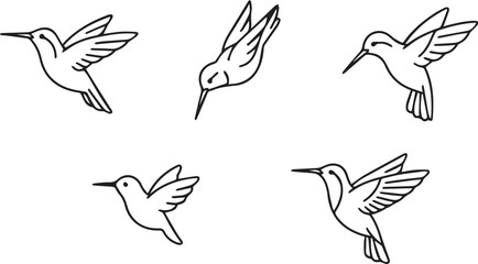 Fototapeta premium Flying Hummingbird Set Line Art Vector Icon