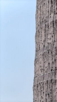 Vertical Palm Tree Trunk Texture Against Clear Sky Background. Detailed close up shot capturing the rugged, weathered texture of a tropical foxtail palm trunk on blue sky, ideal for nature background.