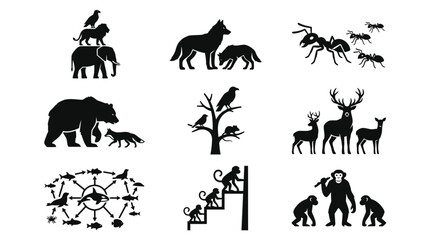 Fototapeta premium Black silhouettes of various wild animals.