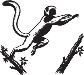 Sifaka Lemur Leaping Between Tree Branches