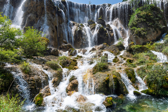 译文

The Pearl Beach Waterfall landscape in Rize Valley, Jiuzhaigou Scenic Area, Jiuzhaigou County, Aba Prefecture, Sichuan Province, China