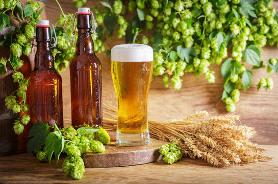 close up of glass of beer, green hops, bottles, wheat ears and barrel on wooden background