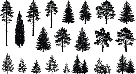 Fototapeta premium Black Silhouette Pine Tree Icon Set with Forest, Fir, and Evergreen Symbols