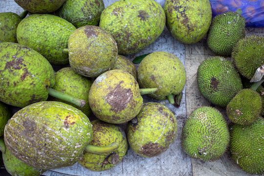 A pile of ripe Sukun fruit or Breadfruits (Artocarpus altilis) at a traditional market in Indonesia