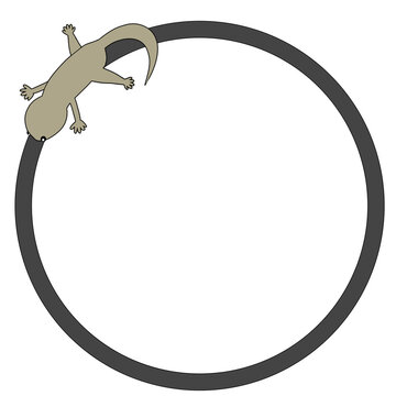 Gecko reptile frame illustration 
やもり　爬虫類　フレーム　イラスト 
