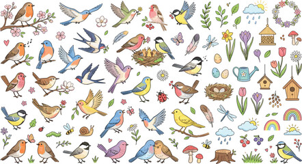 Cute Spring Birds and Garden Elements Collection, Hand Drawn Woodland Bird Vector Clipart Set Isolated on White Background © mdmizanur