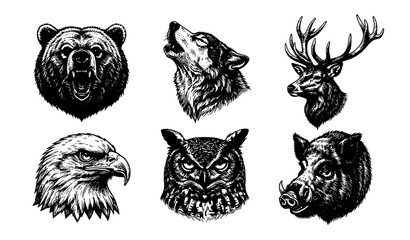 Obraz premium Vintage Forest Wildlife Animal Head Mascot Vector Set Featuring Detailed Grizzly Bear Wolf Deer Eagle Owl and Wild Boar Illustrations