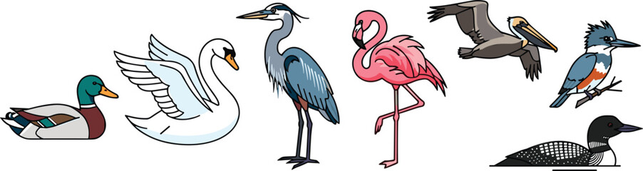Obraz premium Birds Including Swan, Duck, Flamingo, Heron, Pelican, Kingfisher, and Loon in Various Poses and Colors