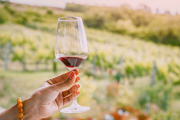Obraz premium Hand holding a red wine glass against a sunlit vineyard landscape. Tasting tourism concept.