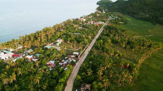 Aerial view of scenic coastal barangay, coconut-lined road, scattered homes, and lush greenery - Igang, Virac, Catanduanes, Philippines