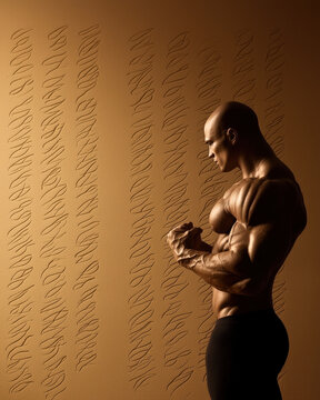Muscular figure abstract shape bodybuilder silhouette shadow anatomy strength athletic pose warm wall pattern texture calm profile