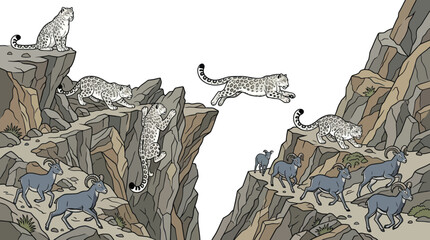 Snow leopards hunting ibex on mountain cliffs © Maria
