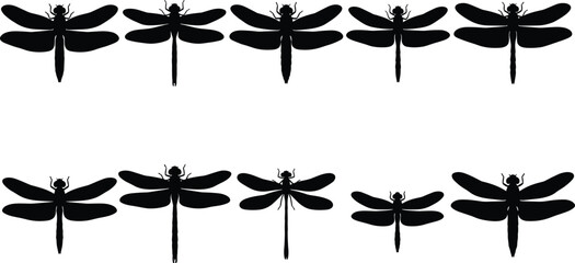 Dragonfly Silhouette Collection Set with Black Flying Insect Vector Shapes Isolated on White © Mokshad Ali