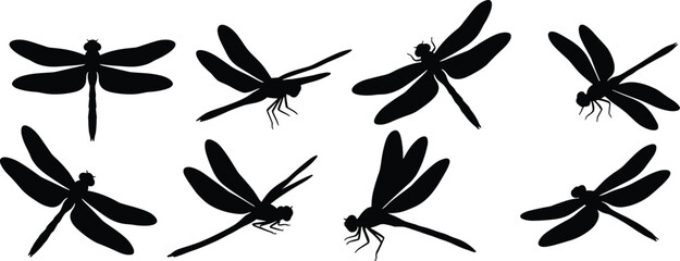 Dragonfly Silhouette Set with Flying Insect Black Vector Collection for Nature and Design © Mokshad Ali