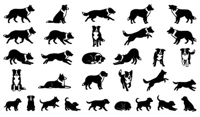 Fototapeta premium Border Collie Dog Silhouette Mega Bundle Vector Collection