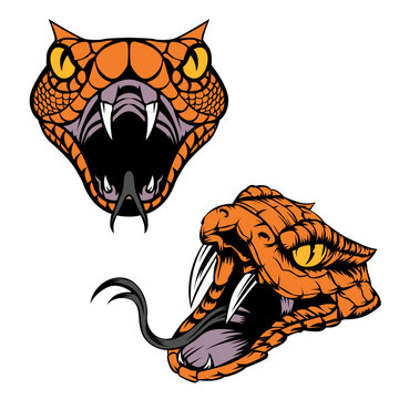 Sidewinder Snake Head Vector Artwork