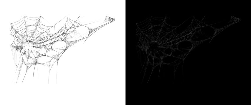 Spooky spider web texture on white and black backgrounds, realistic cobweb overlay for Halloween design, intricate silk spiderweb pattern