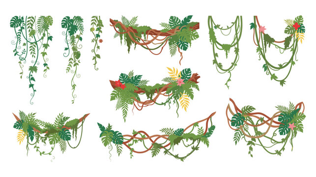 Set of jungle lianas and tropical leaves hanging creeper plants.