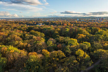 Obraz premium Drone view of colorful autumn trees with city of Dresden, Germany visible in distance. Scenic fall landscape blending vibrant nature and the urban skyline.