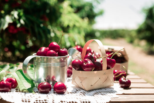 still life of cherries on table in garden