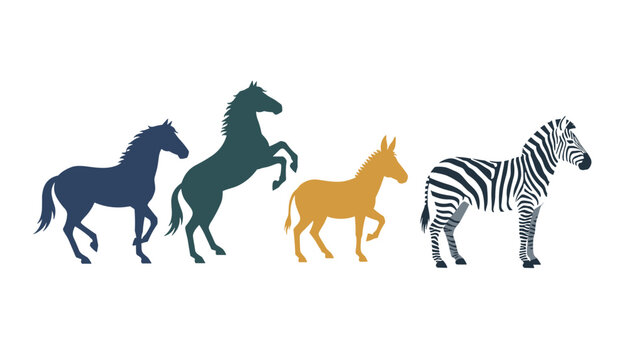 Silhouette lineup of four equine animals including a trotting horse, a rearing horse, a walking donkey, and a standing African zebra.