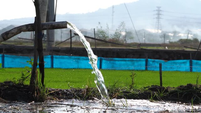 Water flows from a PVC pipe, pumping groundwater to irrigate a vibrant green rice paddy field, showing agricultural technology in a rural Southeast Asian farm landscape with a focus on splash.