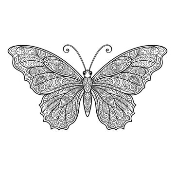 Ornate butterfly mandala line art for adult coloring book