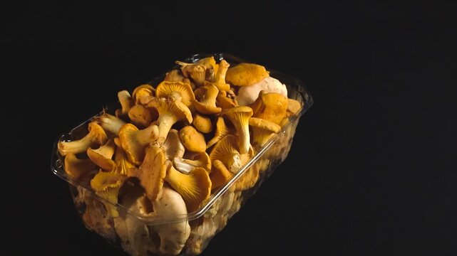 Freshly picked wild golden chanterelle mushrooms in a clear plastic container slowly rotating on a seamless black background, highlighting their rich color and delicate texture