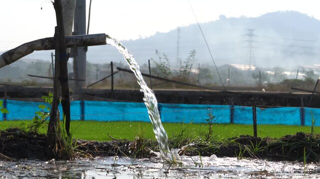 Water flows from a PVC pipe, pumping groundwater to irrigate a vibrant green rice paddy field, showing agricultural technology in a rural Southeast Asian farm landscape with a focus on splash.