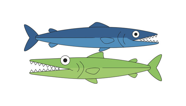 Two colorful cartoon barracuda fish with sharp teeth swimming in opposite directions against a clean white background.