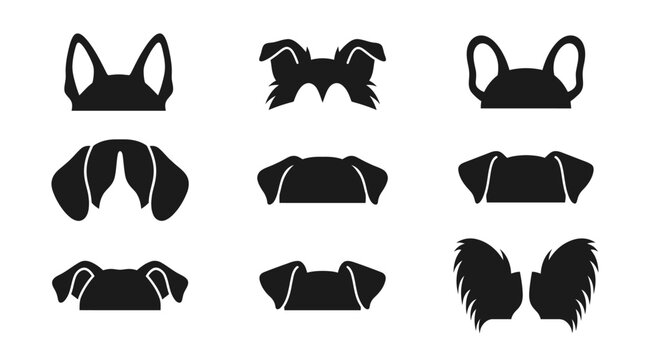 Variety of womens bra silhouettes displayed.