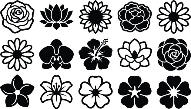 Grid of fifteen black and white flower featuring roses, lotuses, sunflowers, daisies, orchids, and lilies on a white background