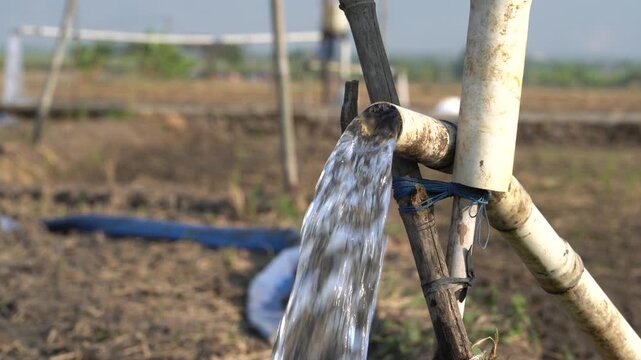 Water flows from a PVC pipe, pumping groundwater to irrigate a vibrant green rice paddy field, showing agricultural technology in a rural Southeast Asian farm landscape with a focus on splash.