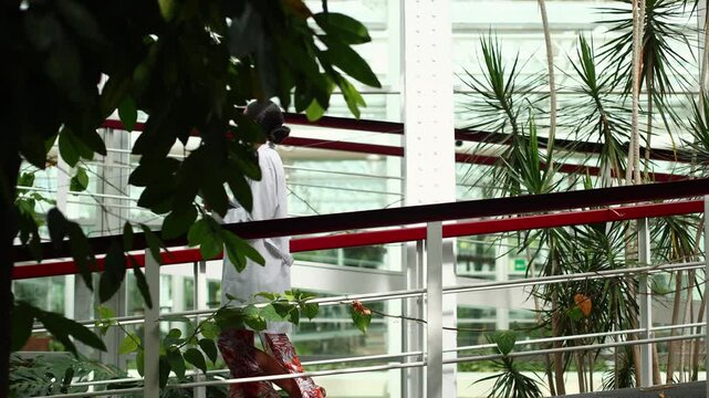 Female botanist walking inside a greenhouse and studying plants