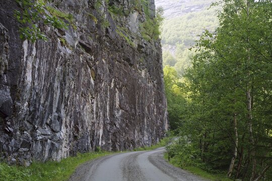 A narrow path that leads along a high rock face and dense forest, Eikesdalen. Aursj&ouml;vegen, More og Romsdal, Norway