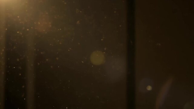 Light dust motes floating in a dimly lit room 