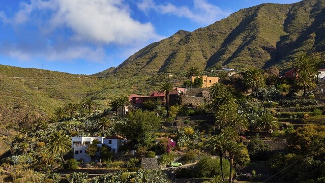 Idyllic village nestled in green hills with palm trees and blue sky, Masca, Barranco de Masca, Gorge, Teno Mountains, Northwest Tenerife, Tenerife, Canary Islands, Spain