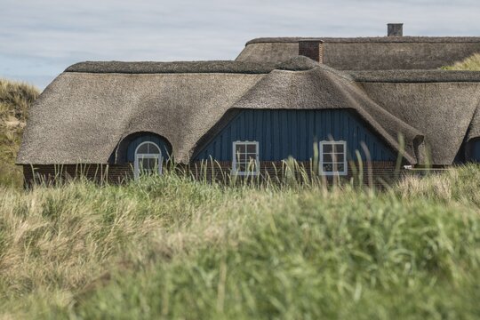 Traditional houses with thatched roofs behind a dune covered with beach oats, Houvig, North Sea, Denmark
