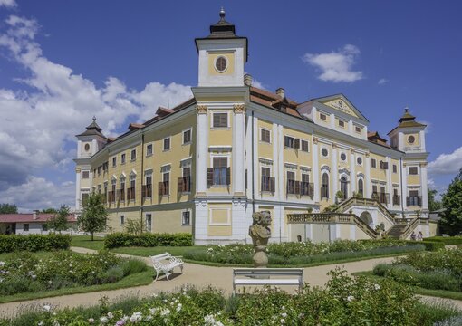 Rose bed and castle, Milotice u Kyjova, South Moravian Region, Czech Republic